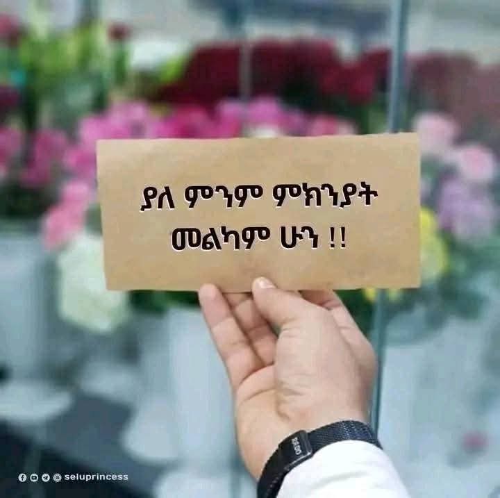 taha jamel (@tahajamel6) on Twitter photo 