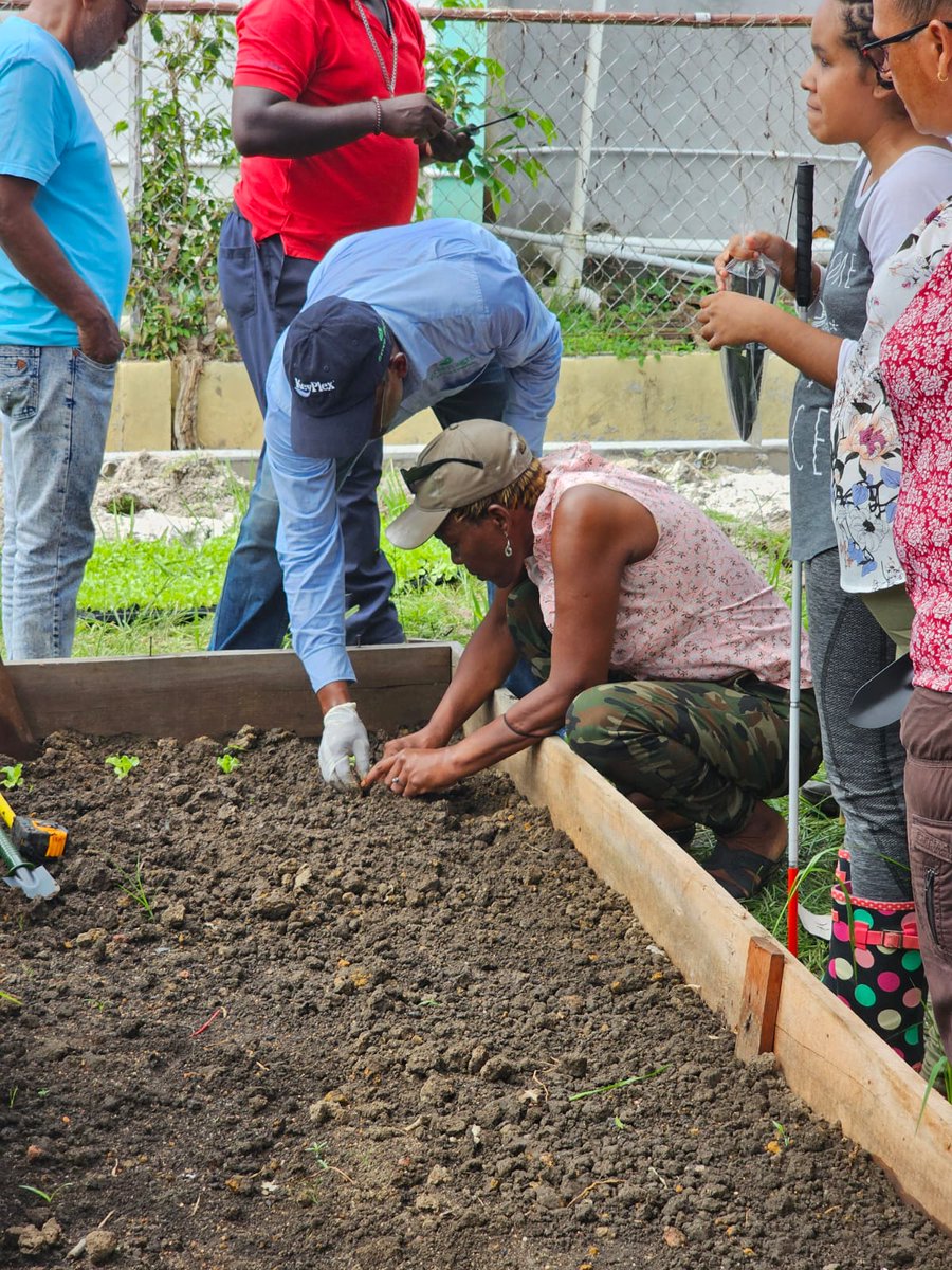 DevCanada's tweet image. 🌱 Au Guyana, @WUSC soutient un projet où des agriculteurs aveugles et malvoyants revendiquent leur place dans un système encore trop peu inclusif. En ce #MoisDeLaFiertéDesPersonnesHandicapées, rappelons-nous que l’accessibilité est un droit, pas une récompense.