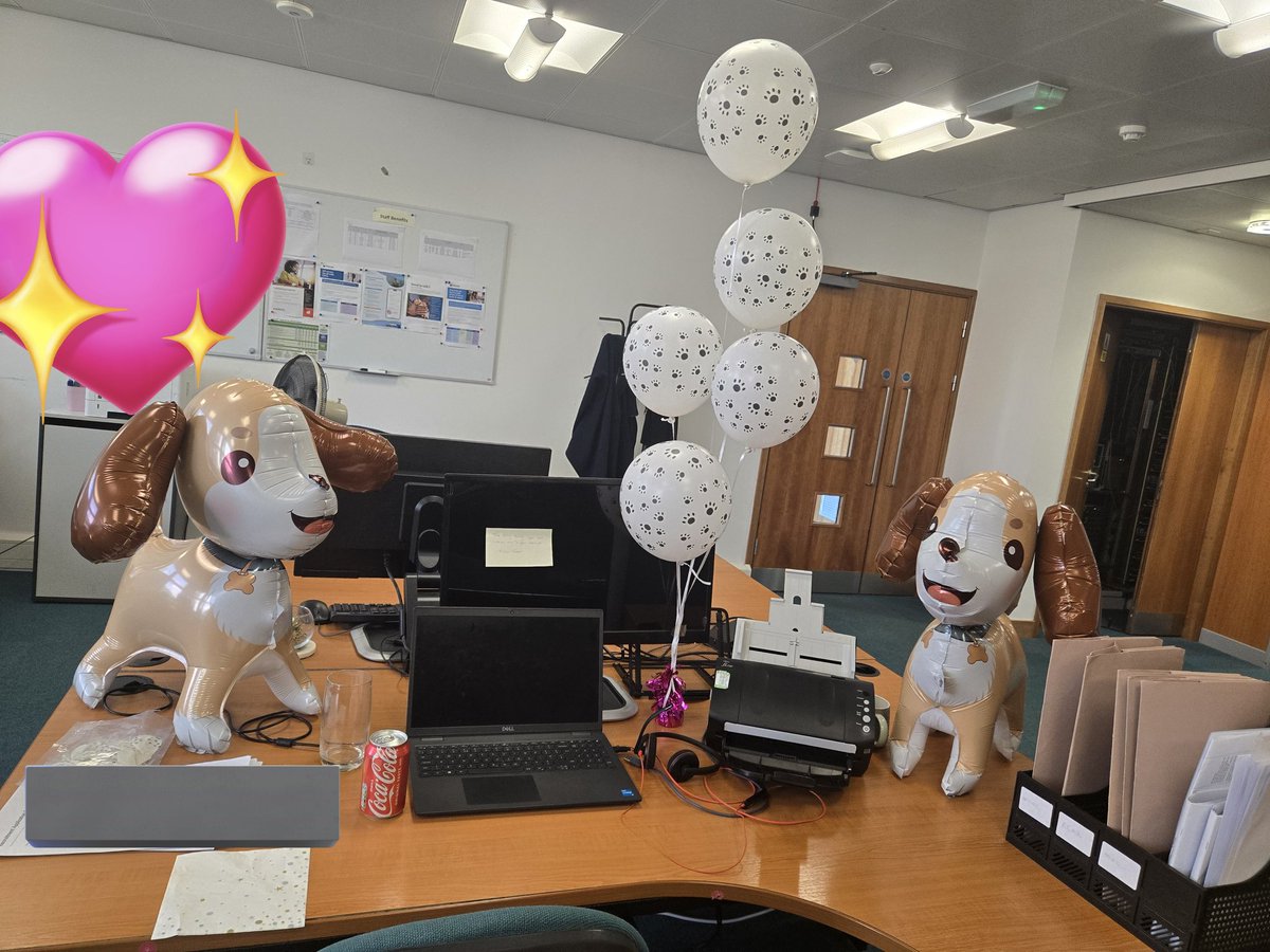 emmawardo's tweet photo. The balloons my work team got me for my birthday tomorrow 😭 https://t.co/vaQd9qty49