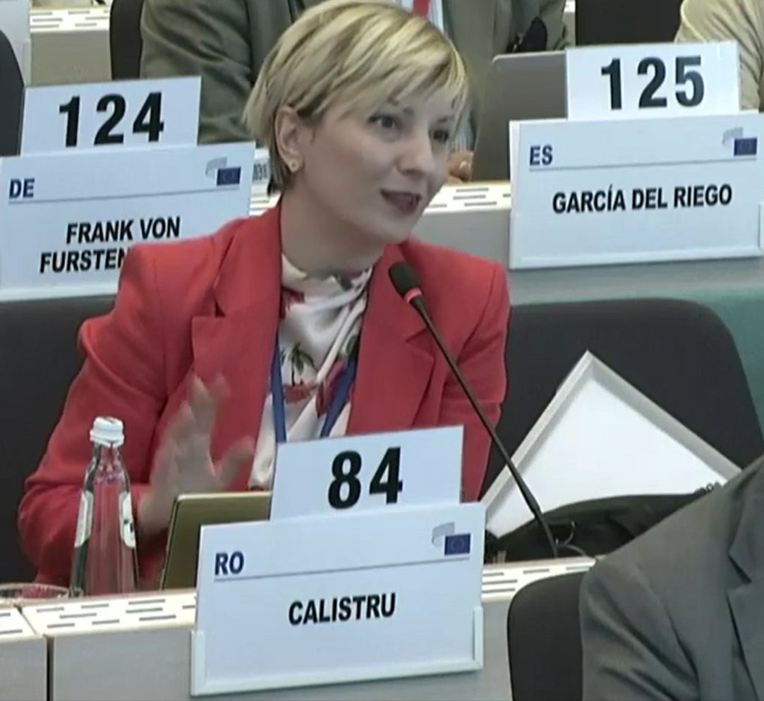 ElenaCalistru's tweet photo. Glad for the opportunity to address today the Danish Presidency on the new #MFF proposal unveiled by the EC. Civil society must remain at the heart of EU budget design & implementation. Partnership principle, multi-level governance & shared management are not obstacles to modernization, but the the foundation of democratic legitimacy. 

#eescplenary