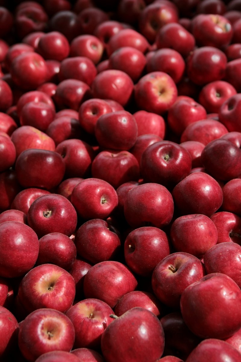 KC Wine Co tweet media