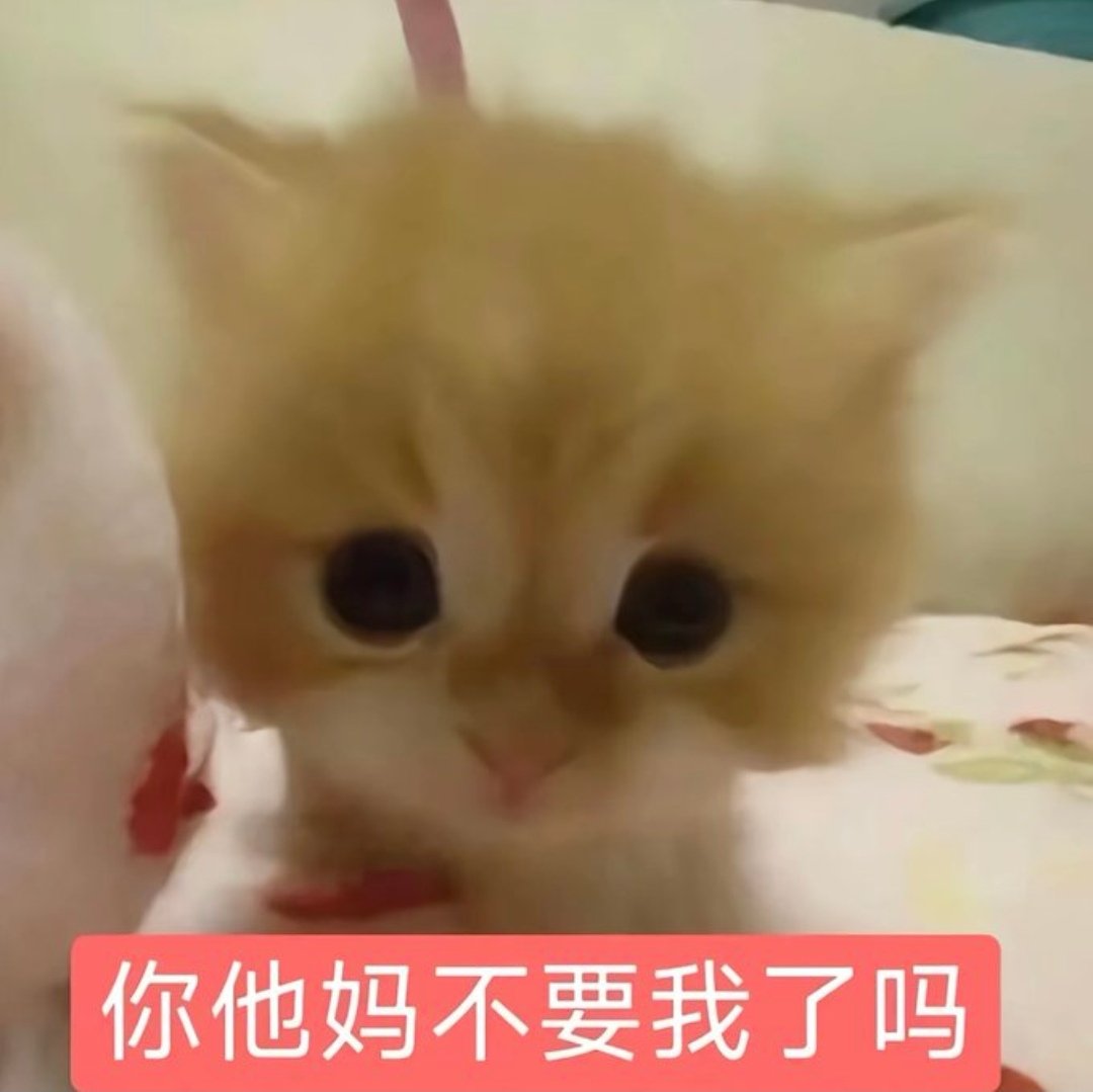 potato_bubu's tweet photo. @l4960106383455 老公想你了 https://t.co/7ZL7b53qrl