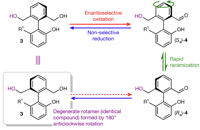 Check our last publication in <a href="/Nature/">nature</a> "Redox-powered autonomous directional C–C bond rotation under enzyme control" (doi.org/10.1038/s41586…)