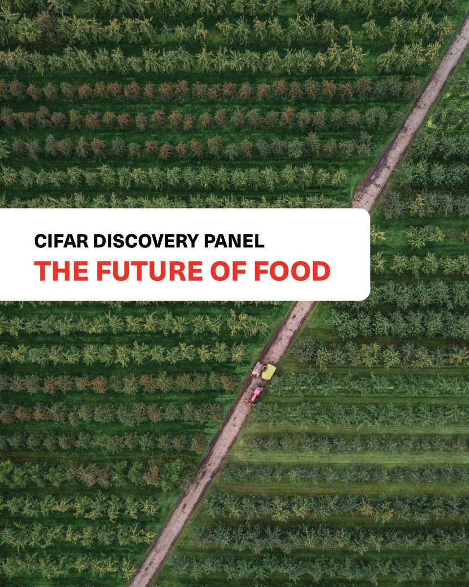 CIFAR_News's tweet image. A new report from CIFAR’s Discovery Panel on The Future of Food explores the growing challenges of global food insecurity and outlines pathways toward a more sustainable, resilient and equitable future for how we produce, distribute and consume food.
🔗: cifar.ca/cifarnews/2024…