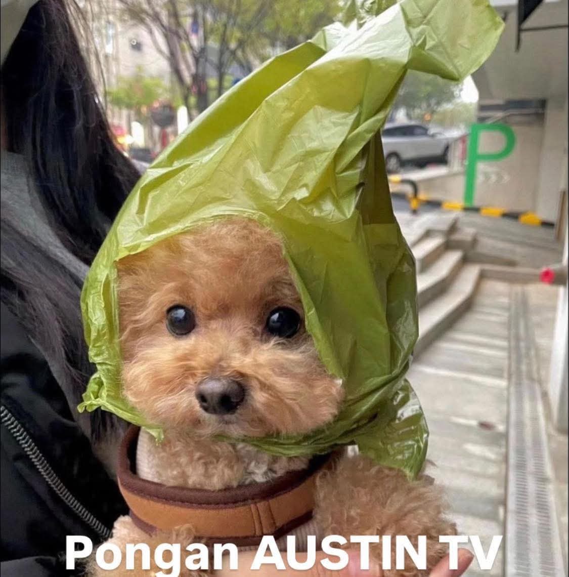 YaNoSoyJoven16's tweet image. Buenos días mis queridos @ruleiro y @eltalcha , ahora que hablan de estrenos ya escucharon  &quot;patrones en el vacio&quot; de Austin tv??? Con cada rola que sale de los Austin mi alma regresa al 2008.

🥹🥹🥹

#Repoderoso