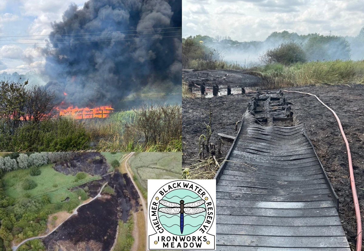 Essex Birdwatching Society (@ebwstweets) on Twitter photo IRONWORKS MEADOW NATURE RESERVE FIRE RECOVERY APPEAL
On 14th July, a devastating wildfire ripped through the Ironworks Meadow Nature Reserve in Heybridge. You can help this wonderful local site recover by visiting their GoFundMe page at gofund.me/83bd4ff1
<a href="/EssexBirdNews/">EBwS Bird News</a> IRONWORKS MEADOW NATURE RESERVE FIRE RECOVERY APPEAL
On 14th July, a devastating wildfire ripped through the Ironworks Meadow Nature Reserve in Heybridge. You can help this wonderful local site recover by visiting their GoFundMe page at gofund.me/83bd4ff1
<a href="/EssexBirdNews/">EBwS Bird News</a>