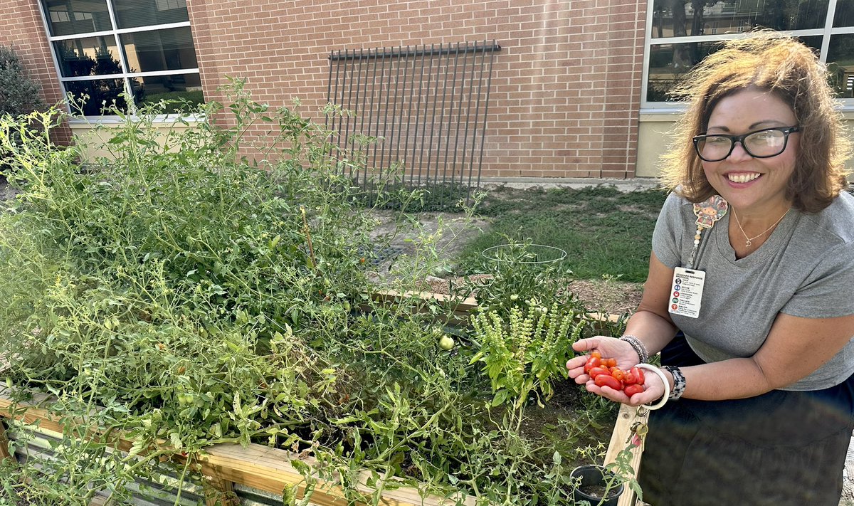 🌱 Our Cable garden is thriving! Mrs. Piñon picked some beautiful tomatoes today 🍅—and pumpkins are on the way too! Growing minds and gardens at Cable! 💚 #UnstoppableCable