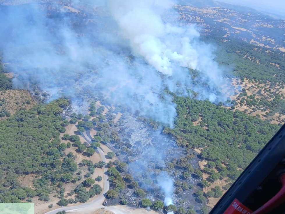 🔴#IFAndújar (Jaén), finca Contaderos Selladores. Incendio ACTIVO.

ACTUALIZAMOS MEDIOS:
🧑‍🚒 9 grupos de bomberos forestales, 3 #TOP
🚒 3 autobombas
🚁 2 semipesados, 1 ligero
🛩️ 2 de carga en tierra, 1 anfibio ligero
⛑️ Unidad Médica