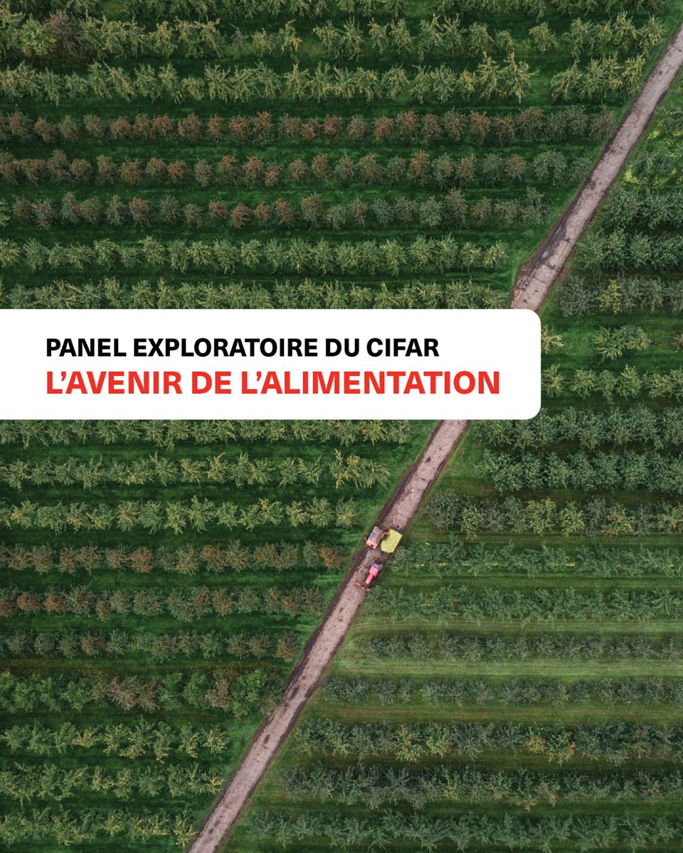 Un nouveau rapport du panel exploratoire sur l’avenir de l’alimentation du CIFAR explore les défis croissants de l’insécurité alimentaire mondiale et propose des pistes pour un avenir plus durable, résilient et équitable.

🔗: cifar.ca/fr/cifarnews/2…