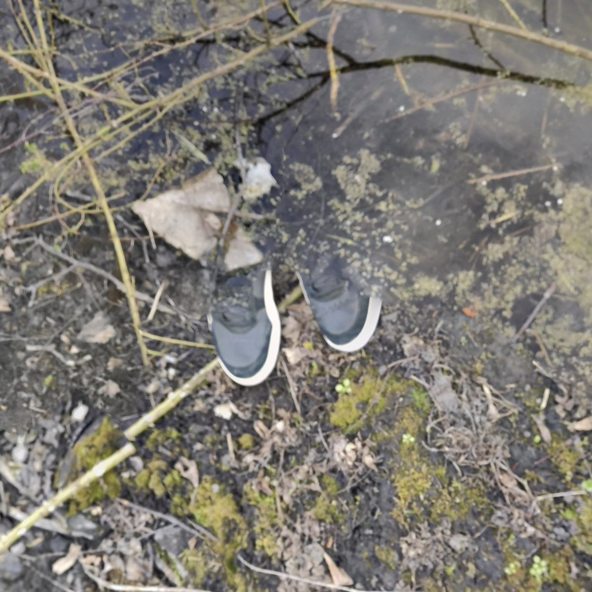 StreetviewFeet's tweet image. Good afternoon, friends 👟