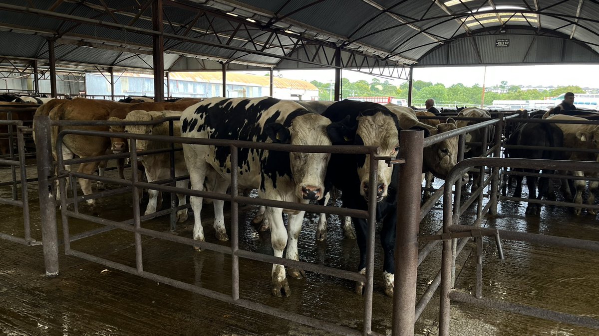 HenryMcKean's tweet image. “Light's out for the family farm.
The direct payments should be taken off the corporate farms as they are gone to a scale that they don't need it.” Could the EU #CAP go and what will it mean for Irish Farmers? @kierancuddihy @TheHardShoulder @NewstalkFM