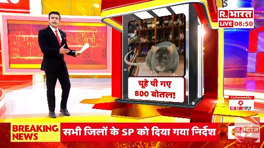 Republic_Bharat's tweet photo. #LIVE | चूहे पी गए 800 बोतल! देखिए 'ये भारत की बात है' सैयद सुहेल (@SyyedSuhail) के साथ रिपब्लिक भारत पर : https://t.co/PLQYCEFE8x
.
.
.
#RatScam #LiquorGoneMissing #ChuheKiDhaakadTeam #BiharLiquorBan #FunnyButShocking https://t.co/UEchGNugNH