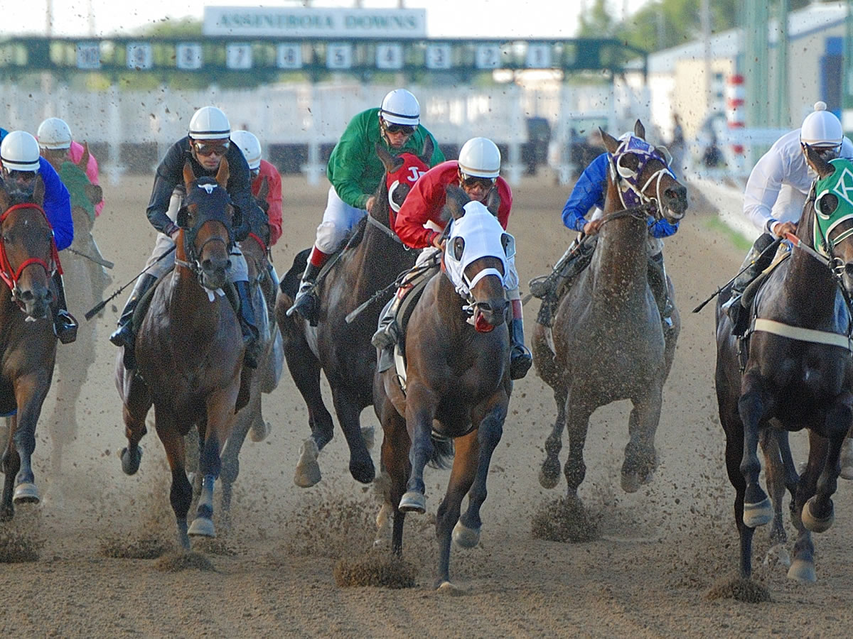 CARRYOVER Wednesday July 16th <a href="/BCRacebook/">Racebook</a> <a href="/HPIbet/">HPIbet</a> #watchwagerwin

Pick-5▪️$333,349.88 <a href="/AssiniboiaDowns/">Assiniboia Downs</a> 
Races #3 thru #7

✅ Download the HPIbet App or visit hpibet.com for the full list of daily carryovers