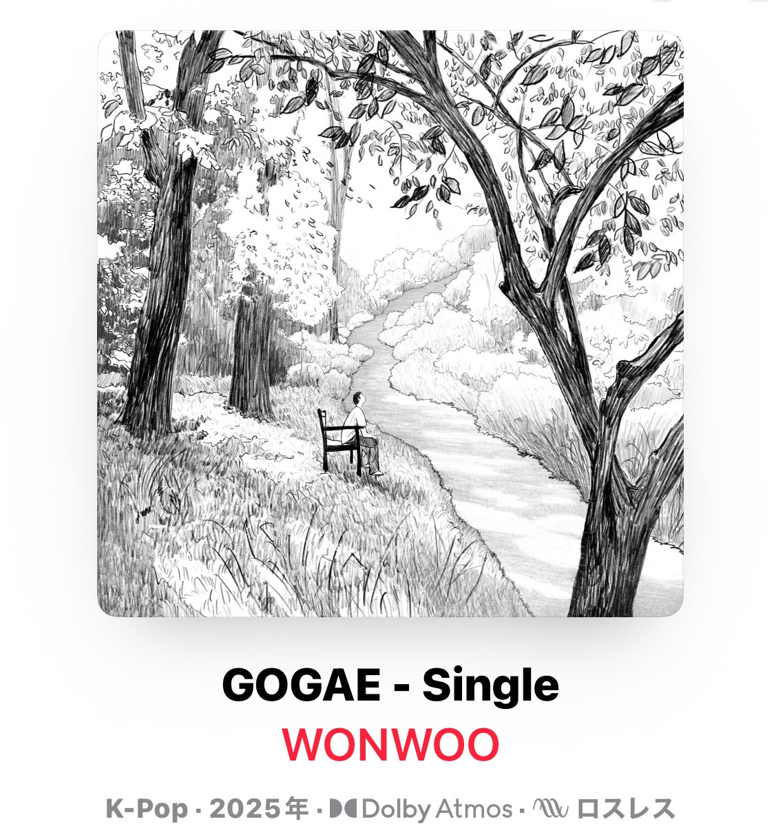 soojin AppleMusic特典 値下げ❌ SOOJIN スジン 
