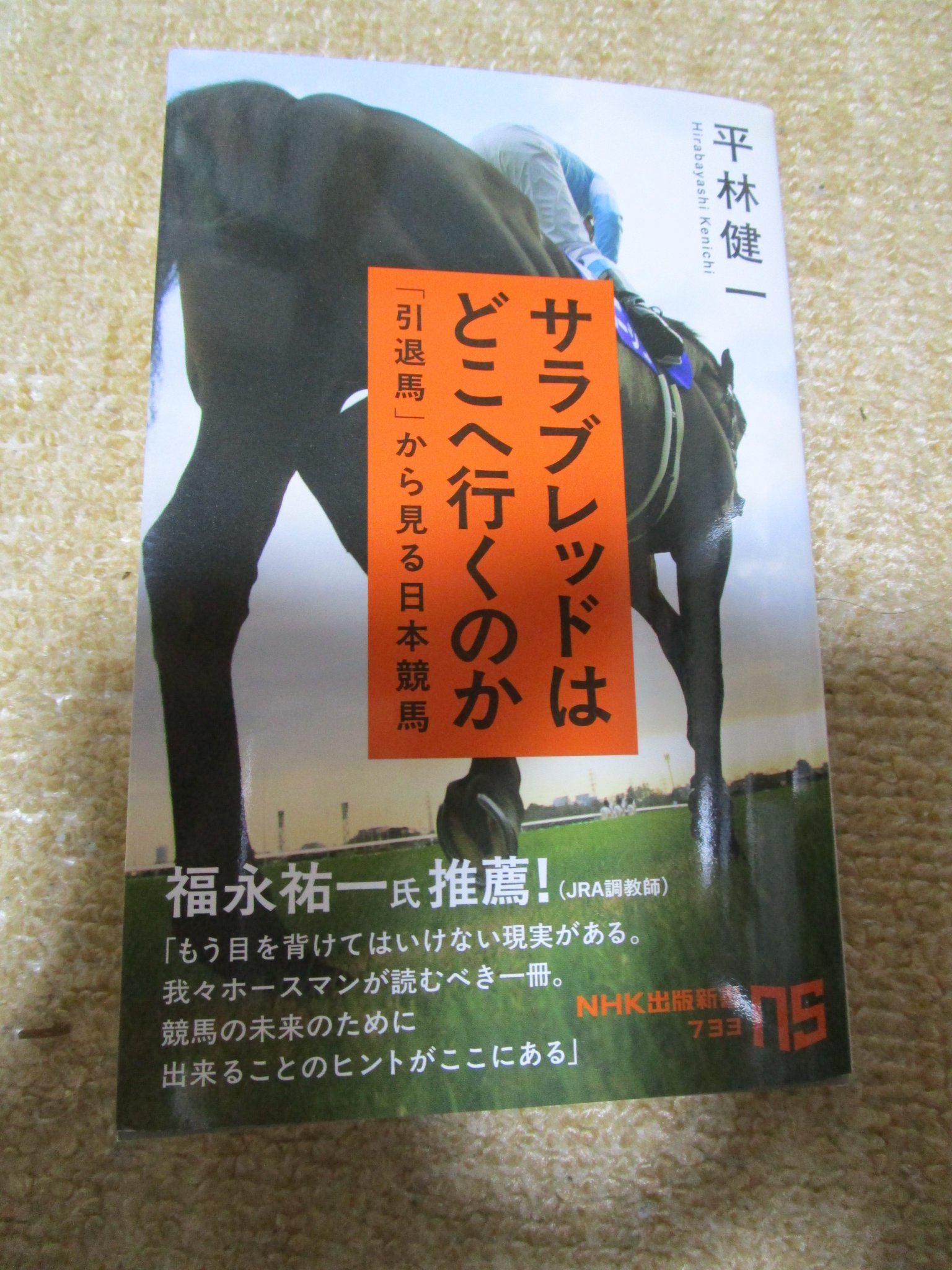 1 運命の出会い サラブレッドにかけた夢　レンタル落ち 1 運命の出会い サラブレッドにかけた夢 レンタル落ち - メルカリ