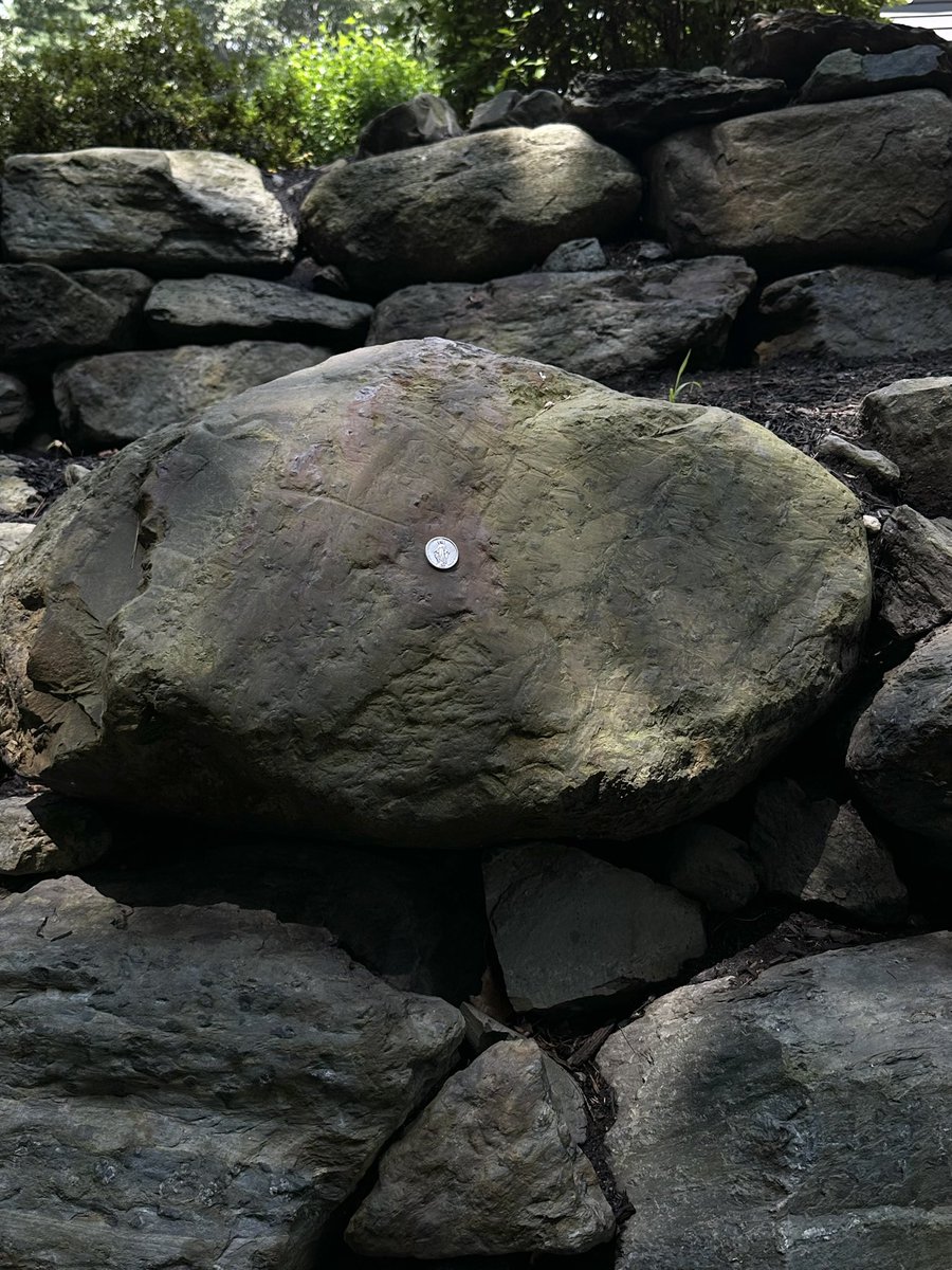 tomcontonio's tweet image. I love putting Miraculous Medals everywhere! This one found its place on a rock!