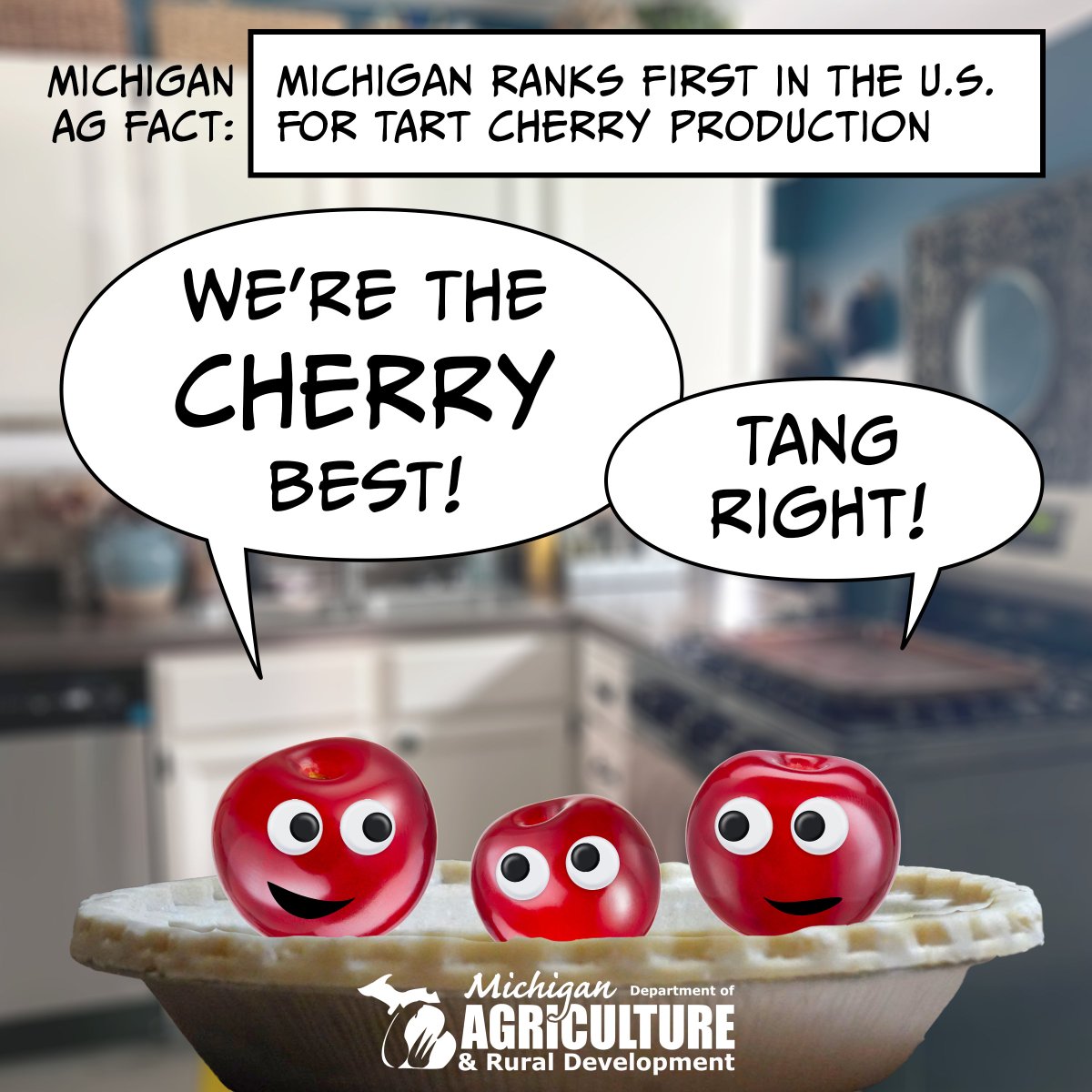 MichDeptofAg's tweet image. Stems from our Great Lakes, prime soil and rolling hills in Northern Michigan! #NationalCherryDay