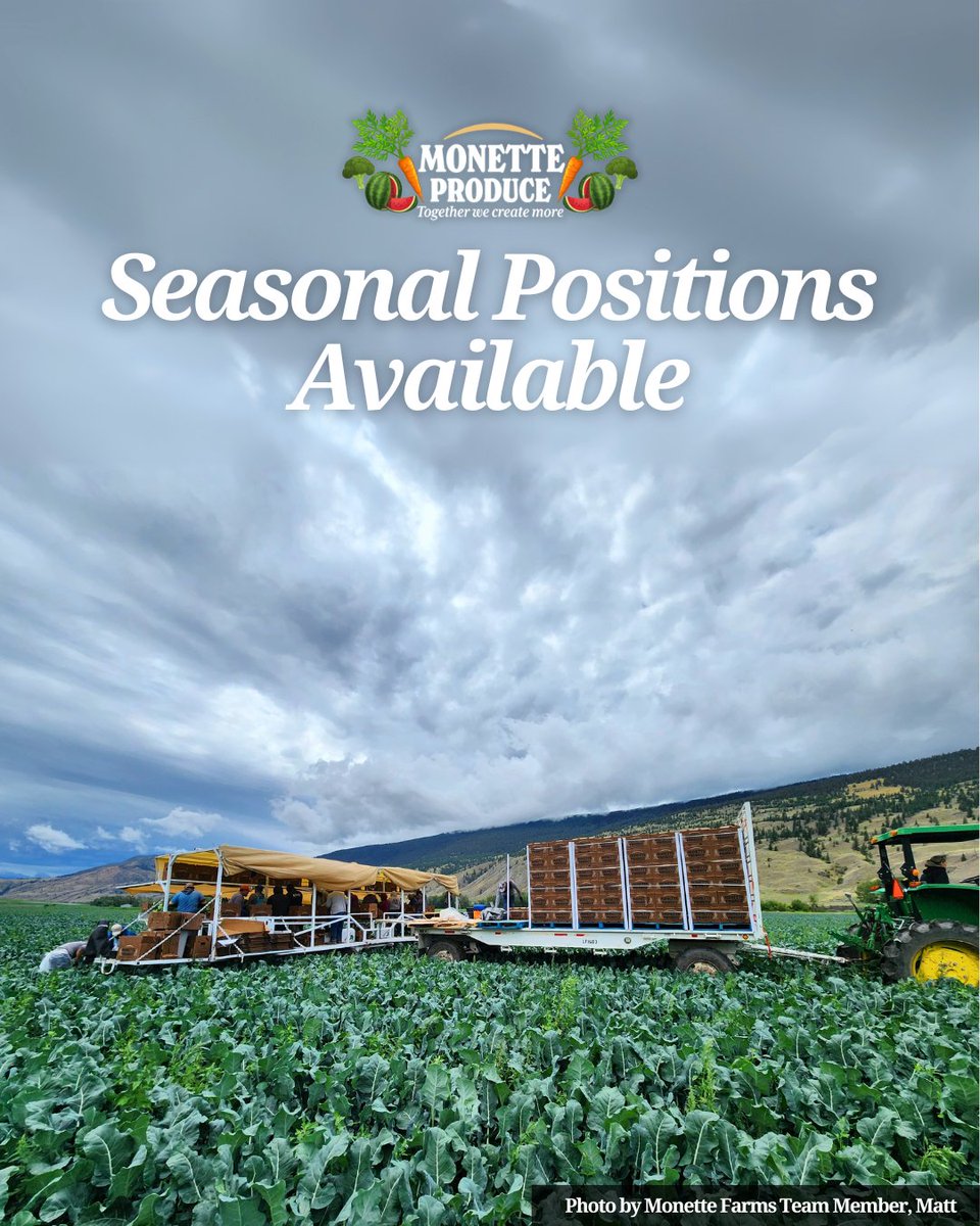 farms_monette's tweet image. Monette Produce is seeking immediate, experienced candidates for the 2025 harvest season. This is seasonal work with housing provided, competitive pay, and a relocation allowance available (subject to conditions).  
Apply today: hr@monettefarms.ca
#AgJobs #FarmJobs
