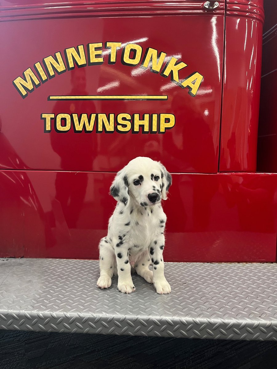In honor of National Pet Fire Safety Day we remind you to include your pets in your fire safety plan! Please:

*Check your smoke &amp; CO alarm batteries

*Store leashes near the door

*Paw proof your stove with child safety knobs

*Secure electrical wiring from being chewed