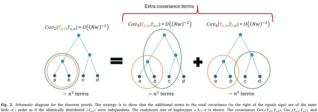 sdtemple's tweet photo. This is a new conceptual figure which explains how to make our proofs. I hope this idea is helpful to other population geneticists. https://t.co/jgsNUqQahb