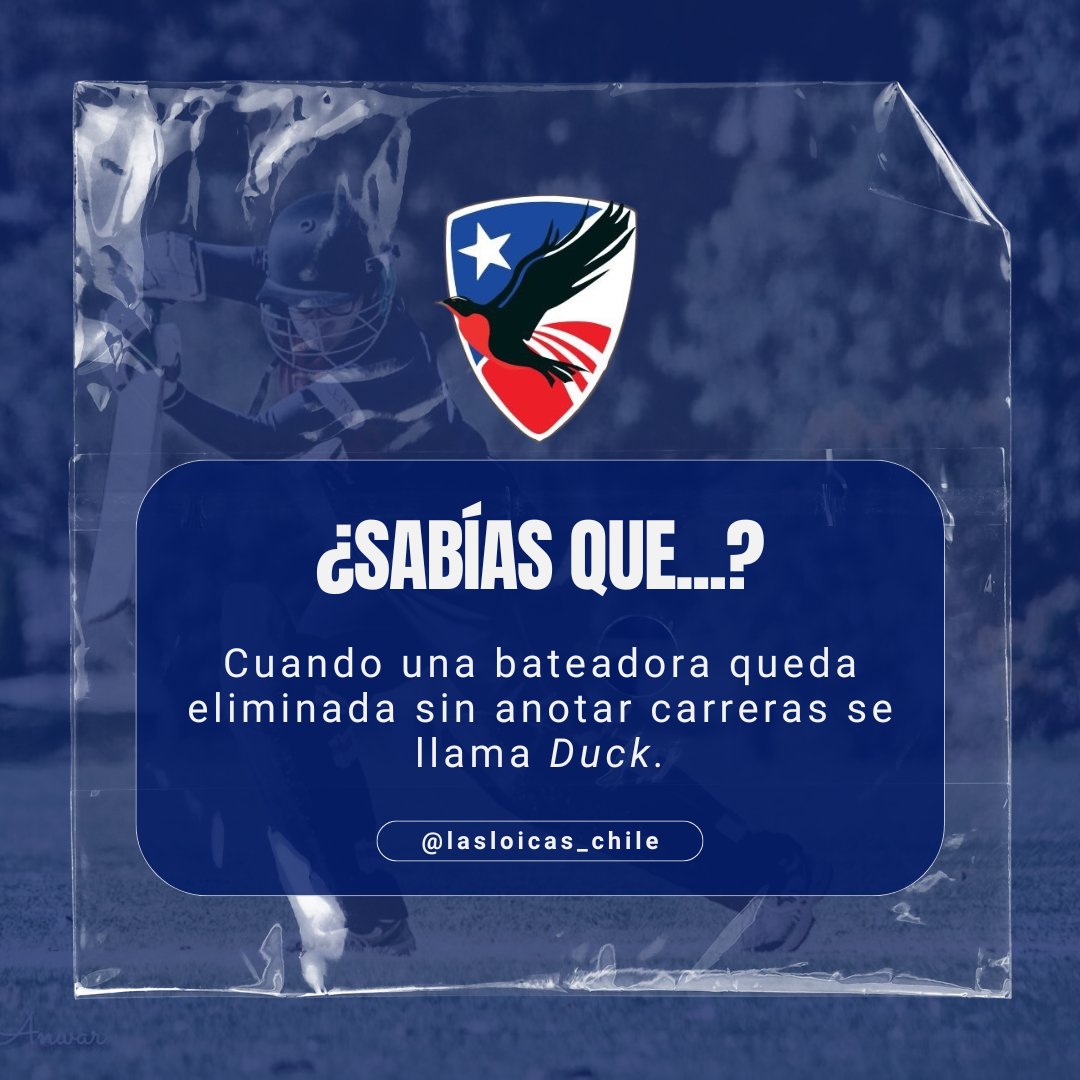 #SabíasQue... Cuando una bateadora no anota ninguna carrera y es eliminada, se dice que hizo un "duck" (pato).

¿Por qué? Porque el 0 se parece a un huevo de pato🥚🦆

Si fue en la primera bola se llama : golden duck ✨
#CricketFacts #FreakFriday #DidYouKnow #DatoCurioso