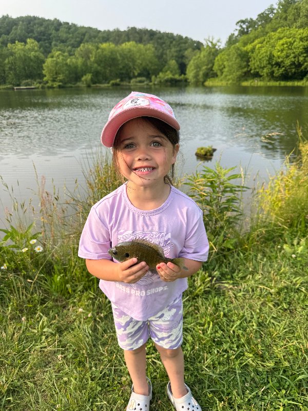 BassProShops's tweet image. From blue gill to huge bass, we want to see your favorite kids fishing photos! Click here to submit them: bit.ly/4k1SyBM