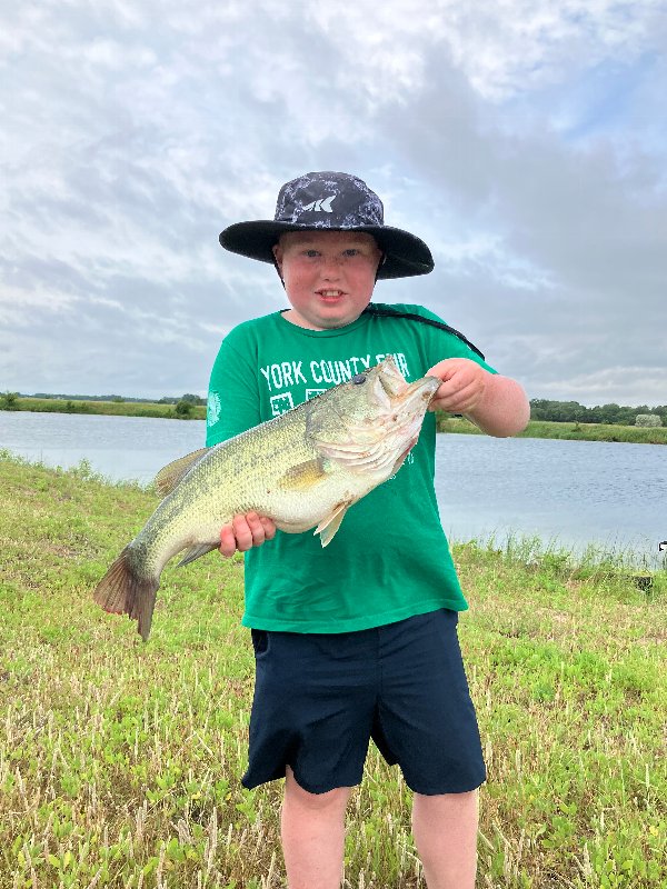 BassProShops's tweet image. From blue gill to huge bass, we want to see your favorite kids fishing photos! Click here to submit them: bit.ly/4k1SyBM