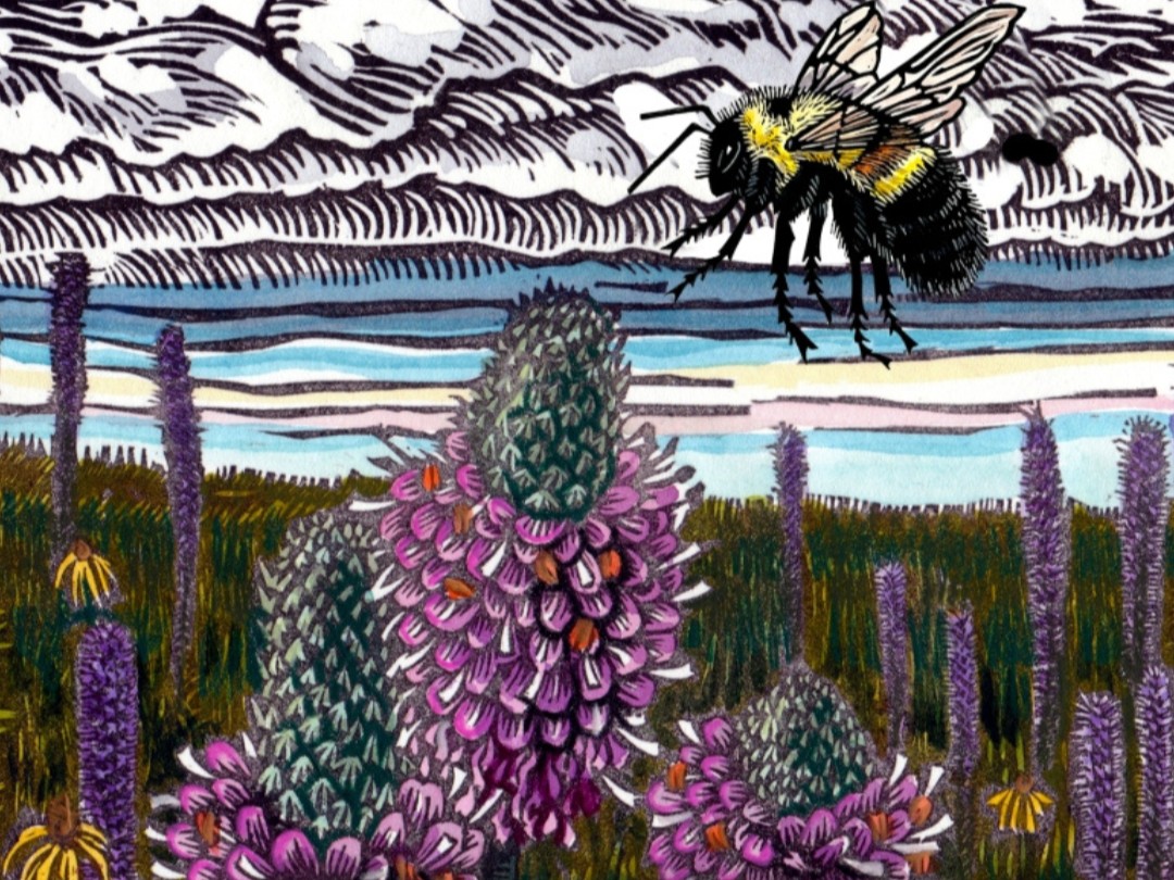 Now through August 24, stop by Plum Creek Nature Center to experience native plants, wildlife and prairie landscapes through the lens of local artist Carrie Carlson in “Prairie Reverie” art exhibition for free!

#FPDWC #NatureArt #InspiredByNature