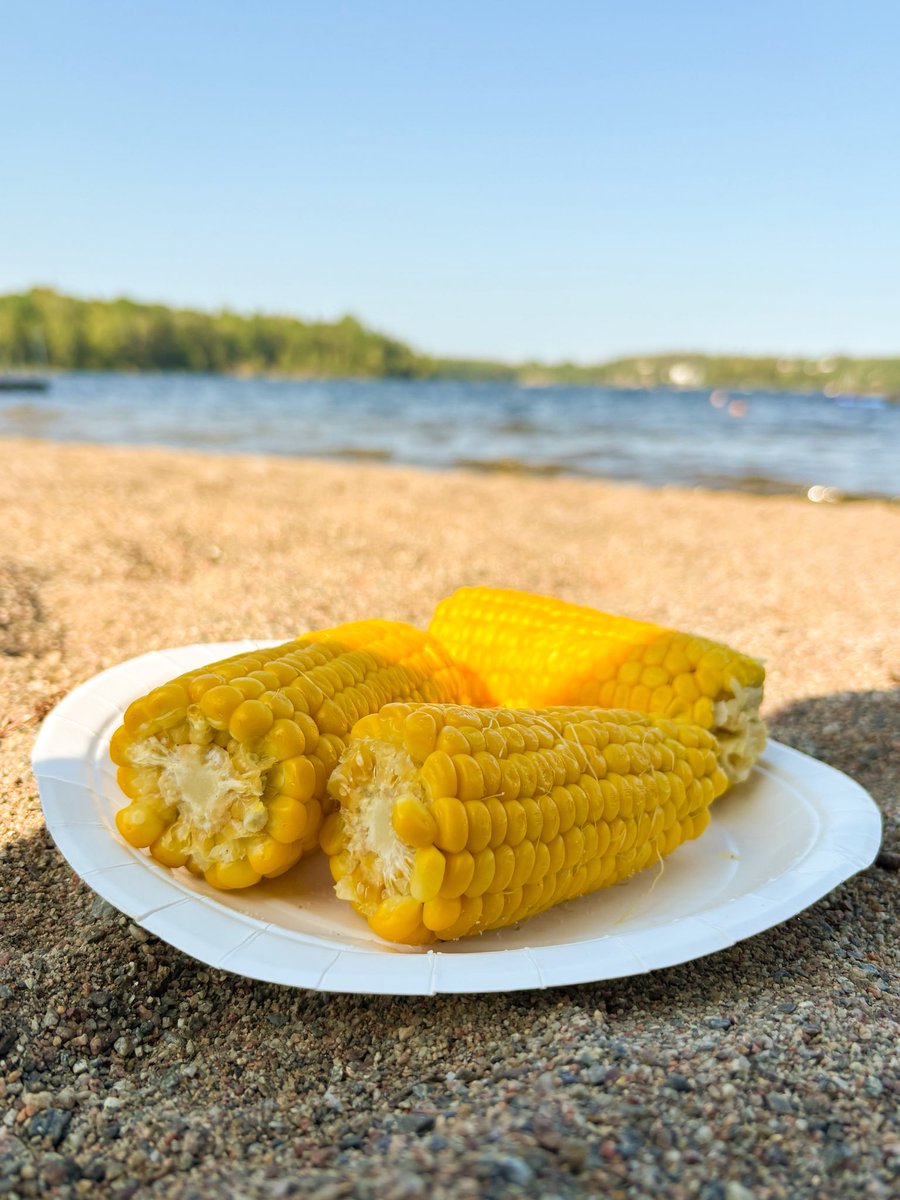 Mısır sıcak, gelsenize