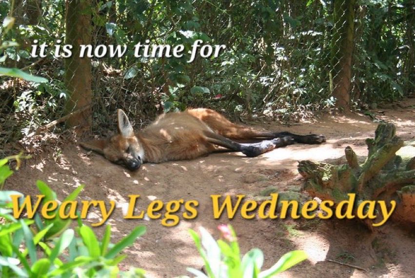 Spuds 🔜 FWA?? (@hewhoroarks) on Twitter photo 