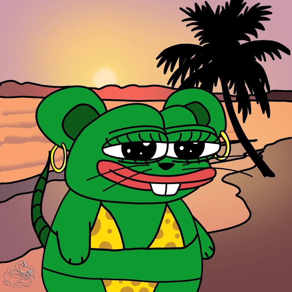 Solana Service Dog 🧀💊 tweet media