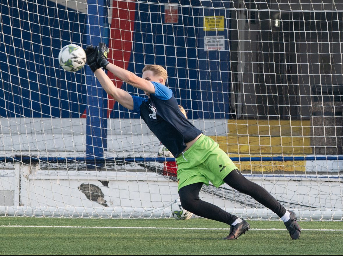 Fin Dodds tweet media