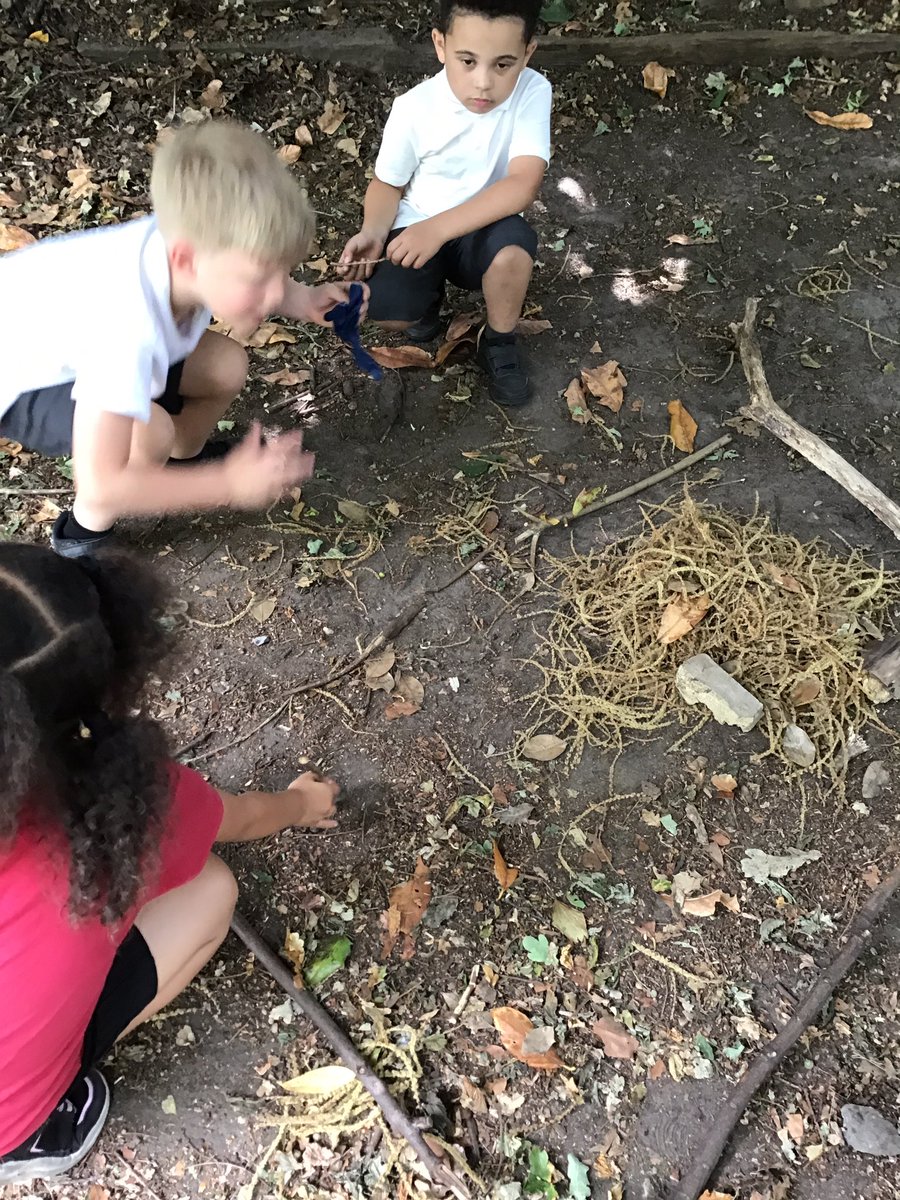 Dahl class used our knowledge of habitats to make a micro-habitat for an insect.