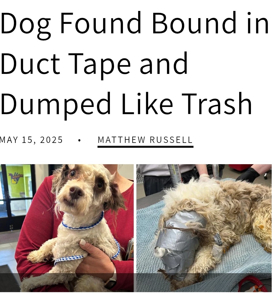 SFDCAdmin64's tweet image. When I woke up today I was not feeling sad, angry, ugly, or violent. Now I do.