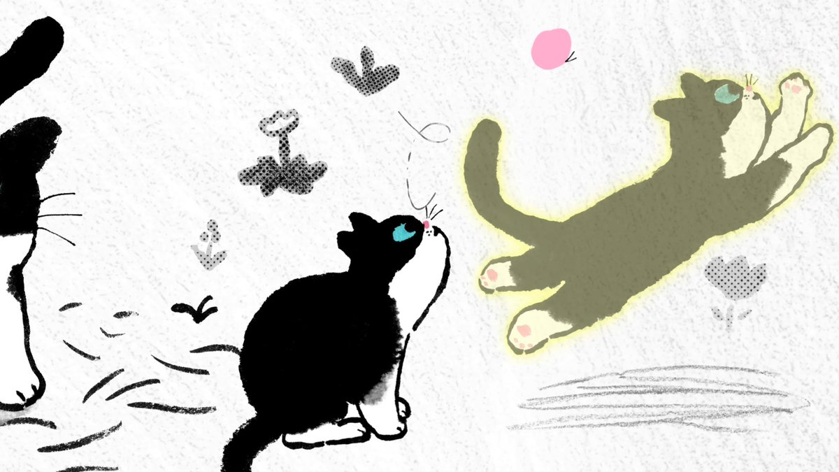 daisy meow. tweet media
