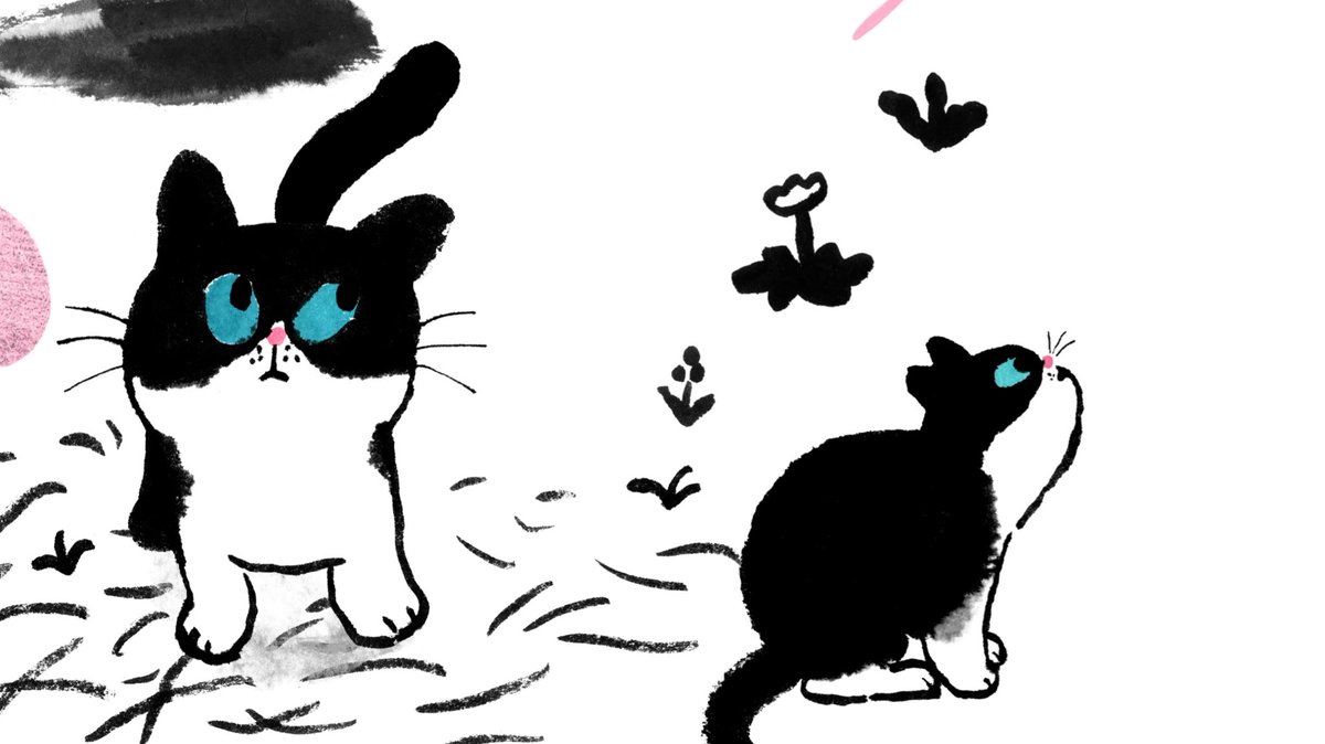 daisy meow. tweet media