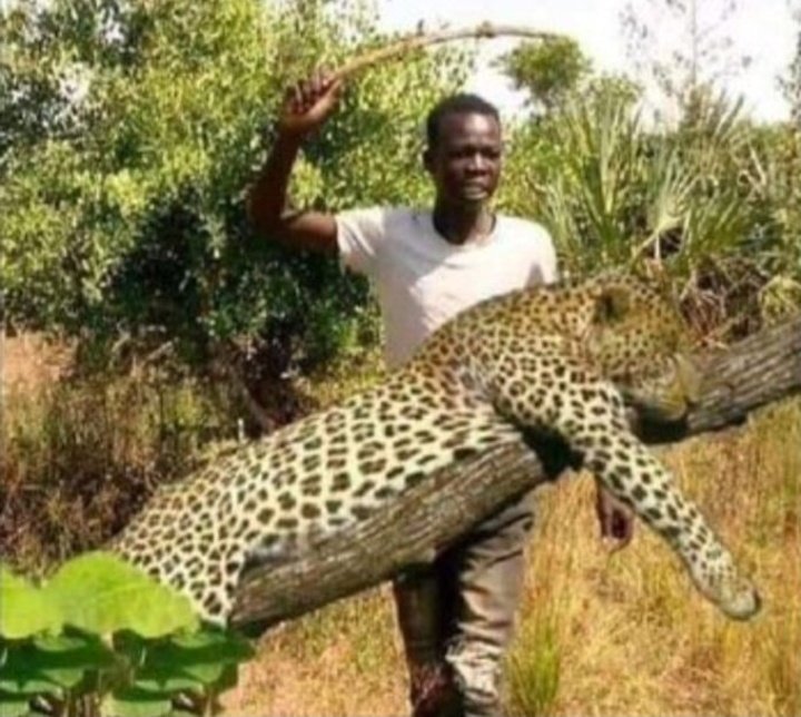 snnmichael's tweet photo. Can someone warn  this guy 😂😂 https://t.co/jR6O3ijO5r