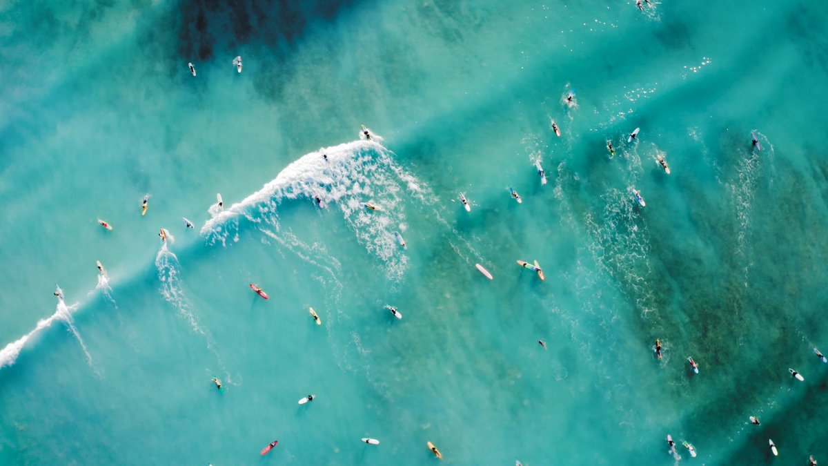 They chase waves, we chase angles  

#SendIt 🤙