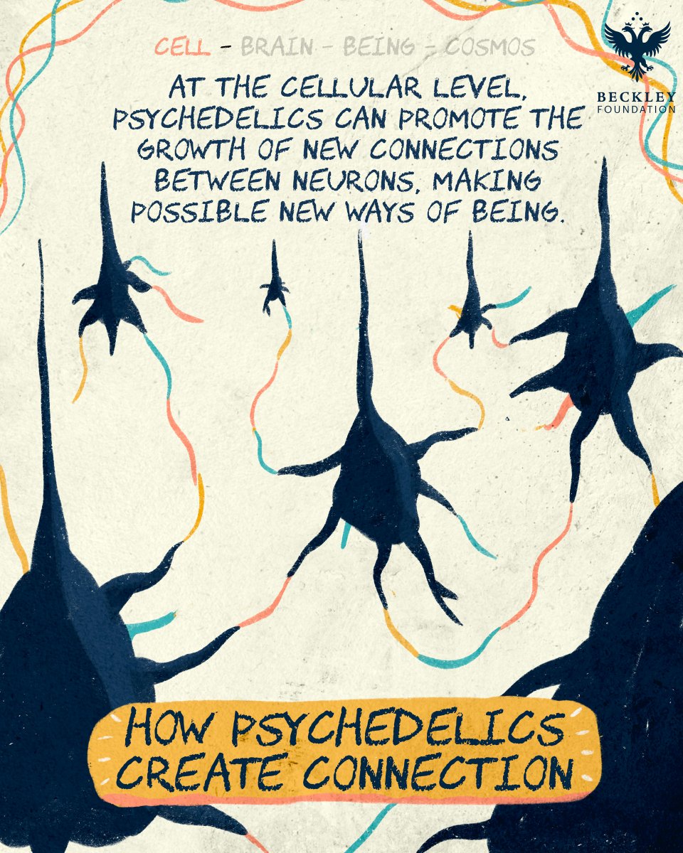 BeckleyResearch's tweet image. A colourful exploration of how psychedelics can be amazing catalysts of connection from the micro to the macroscale -✨ 🧠🌀 #psychedelicresearch