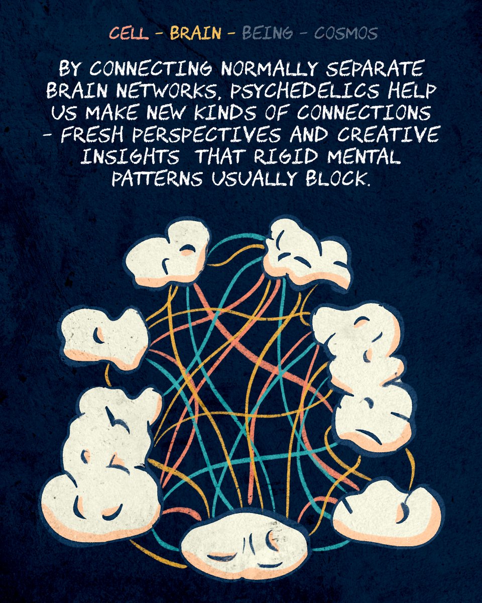 BeckleyResearch's tweet image. A colourful exploration of how psychedelics can be amazing catalysts of connection from the micro to the macroscale -✨ 🧠🌀 #psychedelicresearch