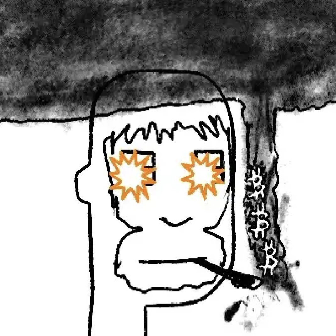 KlausKimski tweet media