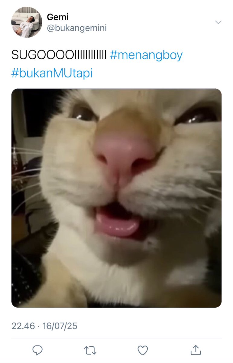 dkshua's tweet photo. udah gasi KALAHTELAK https://t.co/F34k5XoEAa