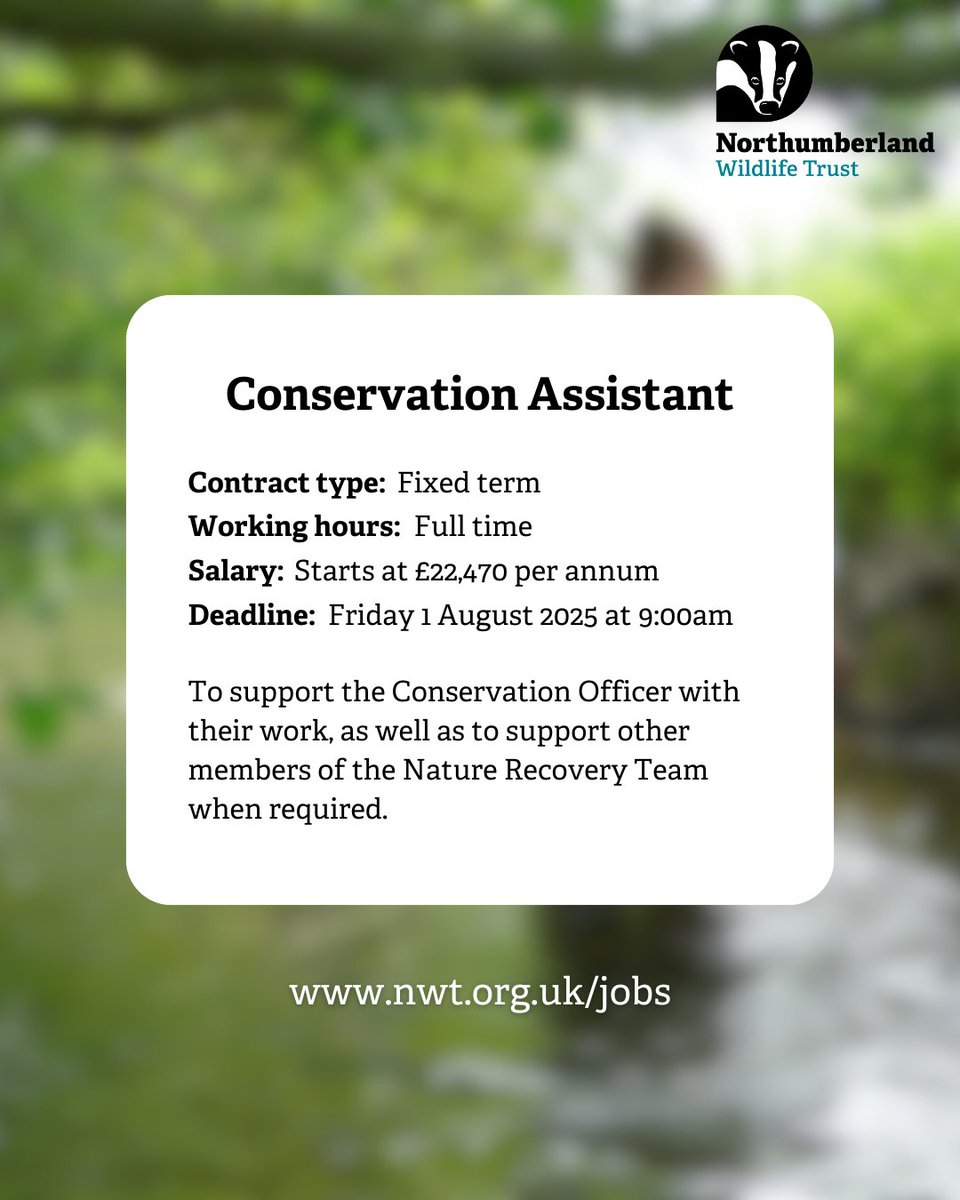 We're looking for a Conservation Assistant to support the Conservation Officer with their work, as well as to support other members of the Nature Recovery Team when required.

Find out more at nwt.org.uk/jobs/conservat…
