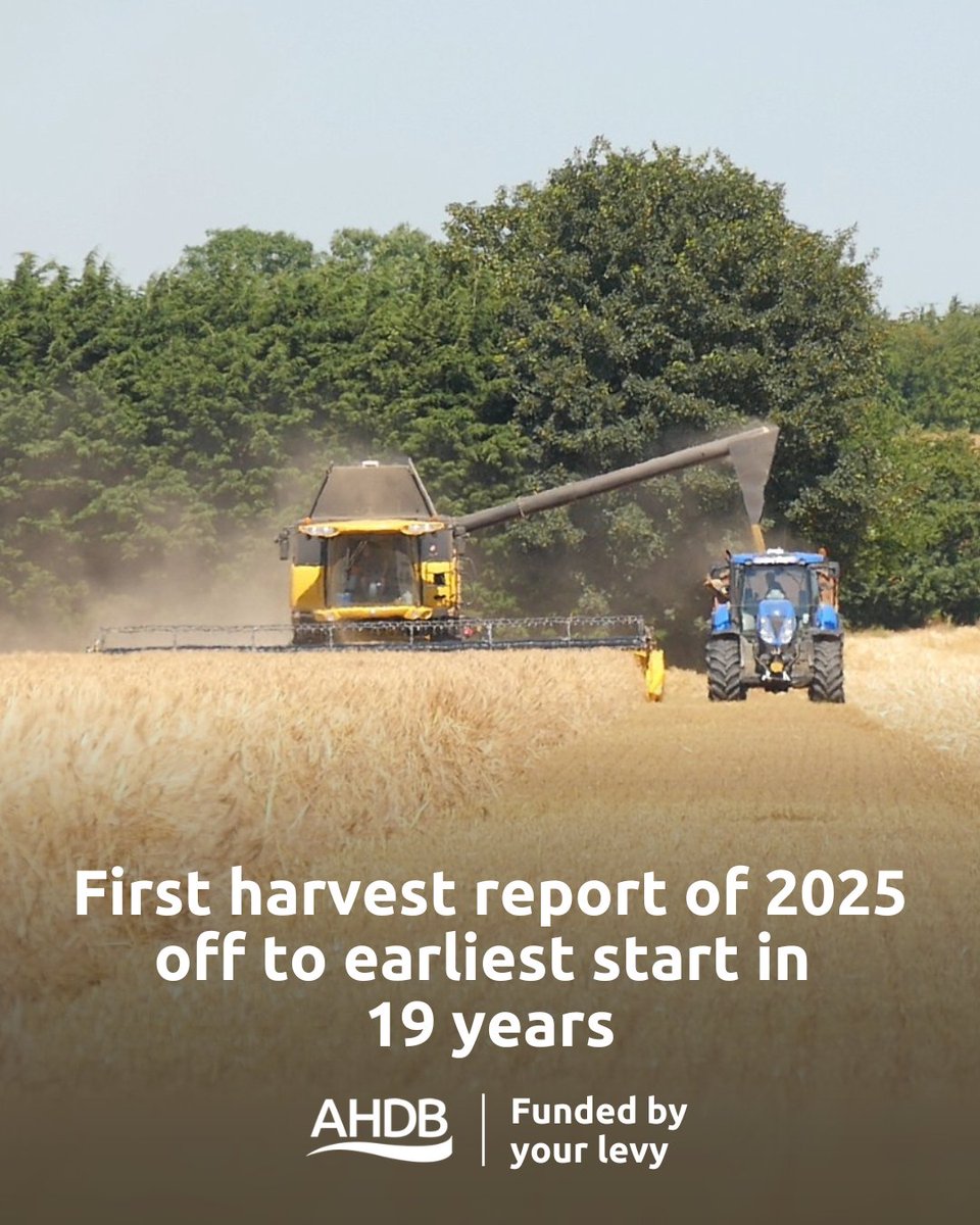 AHDB_Cereals's tweet image. Long dry spells in the spring and recent hot temperatures mean that harvest is off to the fastest start since at least '06 (earliest available report), with multiple reports of winter barley being cut in June.🌾
Read the first report of the 25/26 season: ow.ly/ziYC50WqF2Y