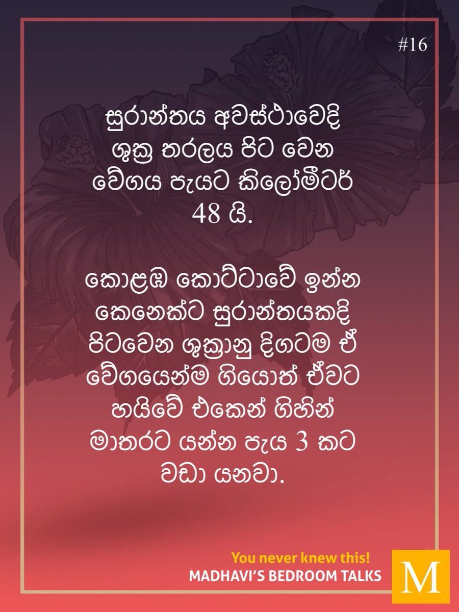 ඇත්තටම 138 කොට්ටාව බස් වලට වඩා වේගවත්. වැඩට යන්න පාවිච්චි කරන්න බැරි වෙයි ද?