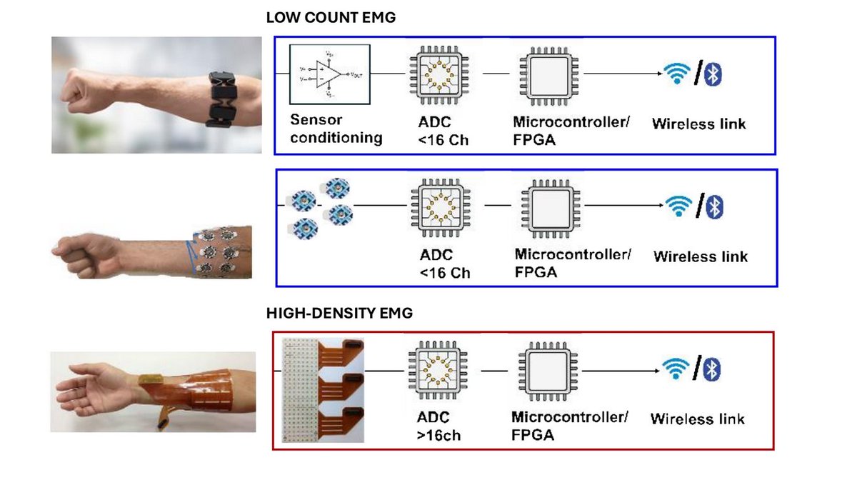 pulp_platform's tweet image. Our paper “EMG Acquisition and Processing for Hand Movement Decoding on Embedded Systems: State of the Art and Challenges” appeared in Proceedings of the IEEE! See ieeexplore.ieee.org/document/11078… for insights & taxonomy of acquisition systems, algorithms & innovations in EMG-based HMI.