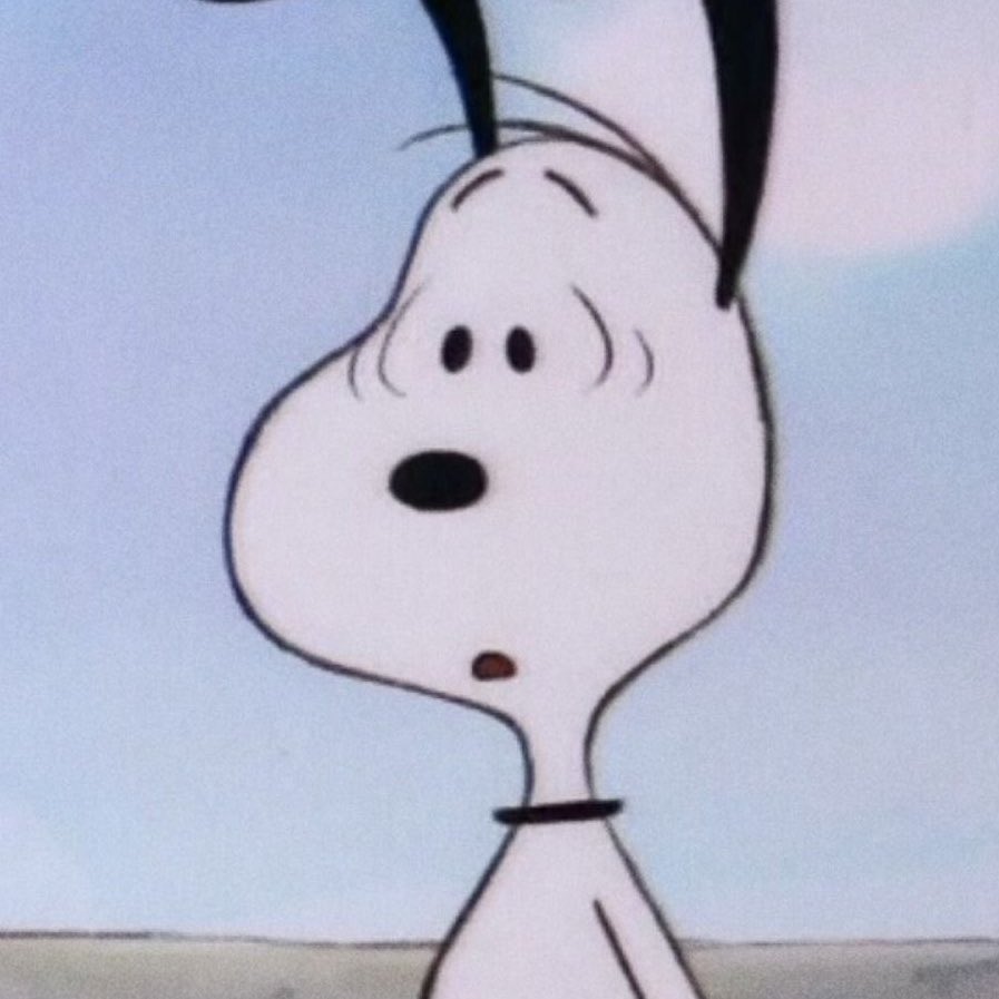 joekitsnoopy's tweet image. 😮