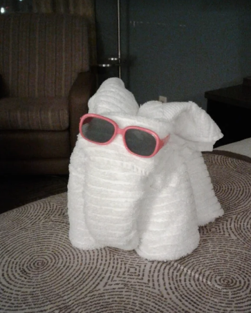 CWSFortCollins's tweet photo. A little extra fun awaits when you check in—just one of the ways we keep your stay light and sunny. https://t.co/4lkDJoOzoS