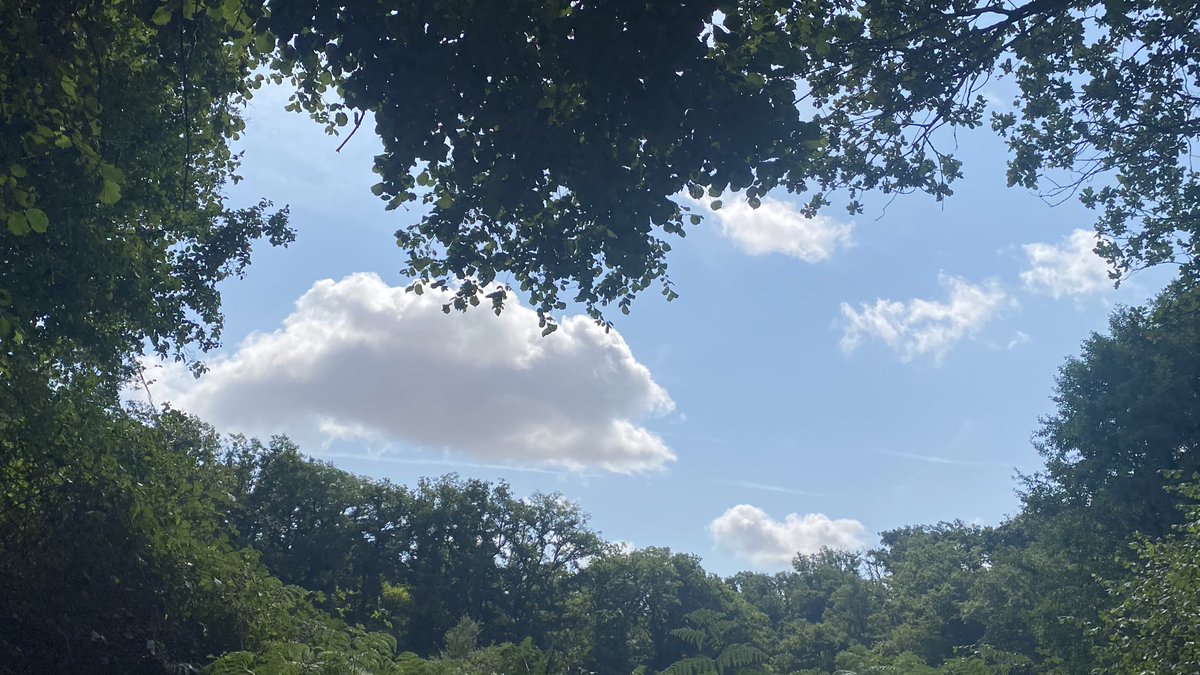 liliadeae's tweet image. pics from yesterday&apos;s walk,, ✉️