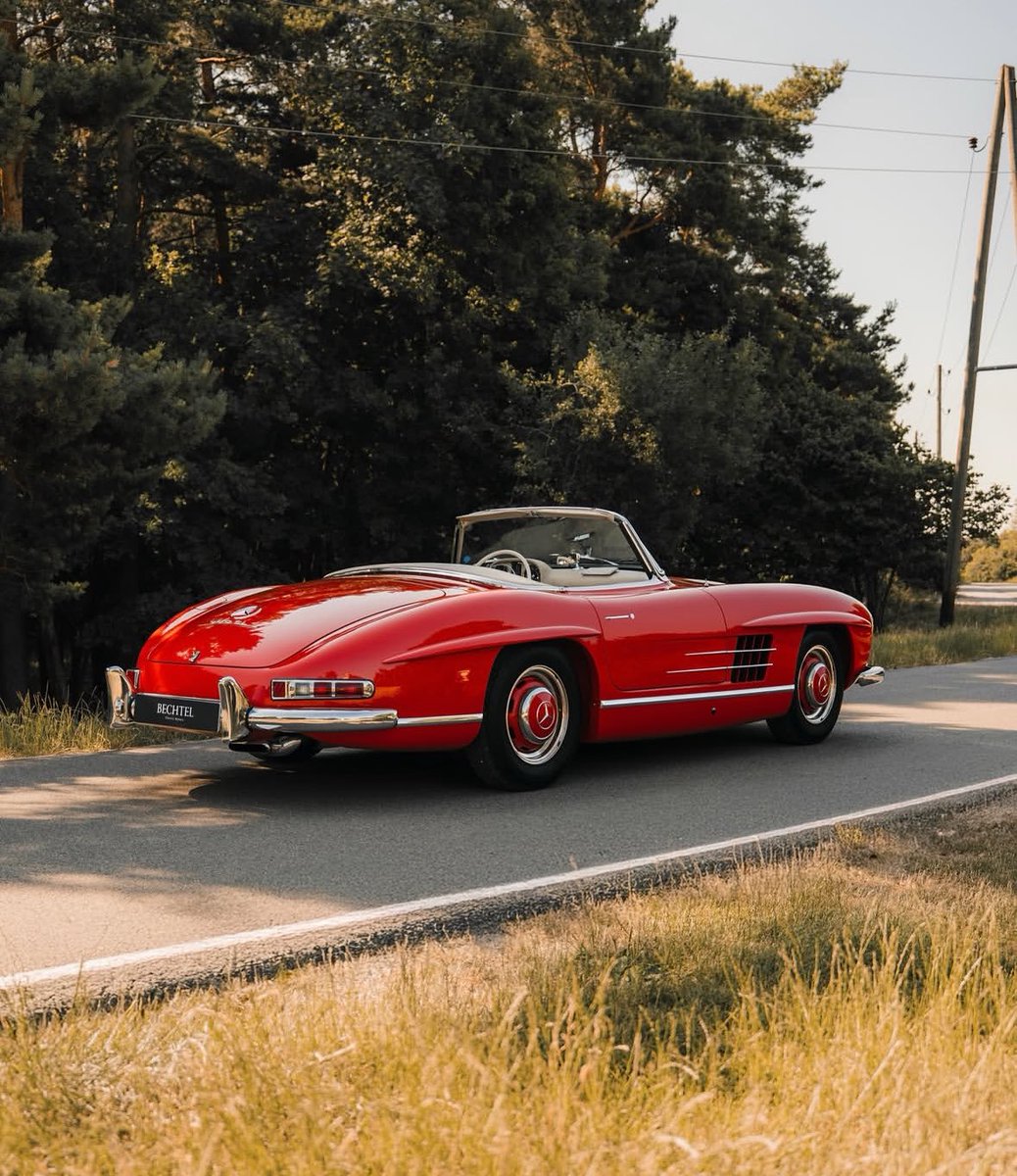 Tristan Tate tweet media